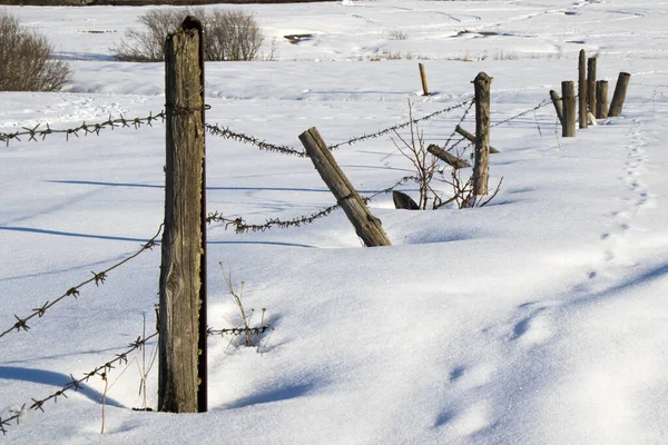 Zimowy Widok Śniegu Zardzewiałe Ogrodzenia Drutu Kolczastego Nim — Zdjęcie stockowe