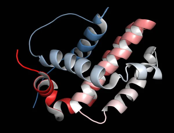 Bcl Proteini Boyutlu Görüntüleme Apoptozu Hücre Ölümünü Önler Kanser Hücrelerinde — Stok fotoğraf