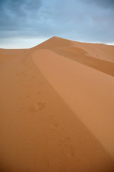 Een Prachtig Uitzicht Zandduinen Een Woestijn — Stockfoto