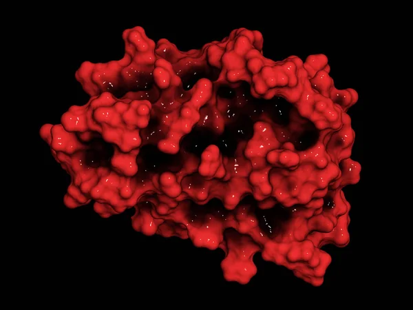 Erytropoetyna Ludzki Hormon Białka Epo Epoetyna Renderowanie Stymuluje Wytwarzanie Krwinek — Zdjęcie stockowe