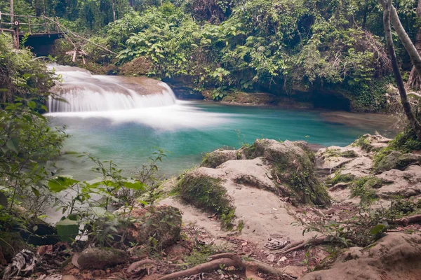 Uma Longa Exposição Tiro Uma Pequena Cachoeira Floresta — Fotografia de Stock