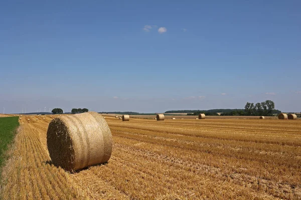 Grand Champ Marron Agricole Avec Des Balles Foin Roulées — Photo