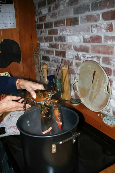 Een Verticale Shot Van Het Koken Van Een Grote Kreeft — Stockfoto