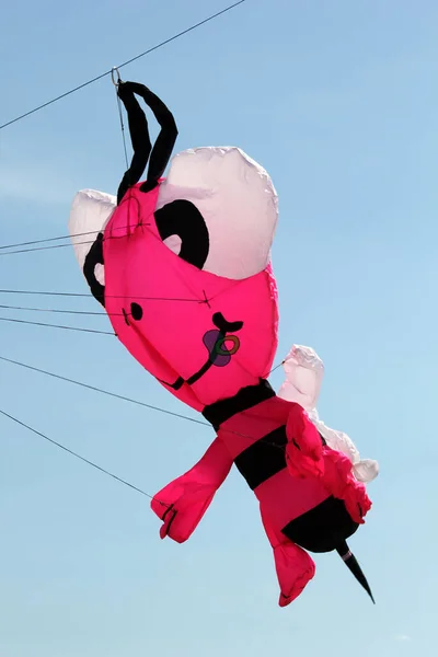 Nahaufnahme Eines Fliegenden Drachens Der Rosa Biene Mit Großen Augen — Stockfoto