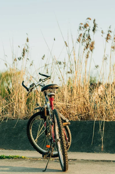 Tiro Vertical Uma Bicicleta Uma Rua — Fotografia de Stock
