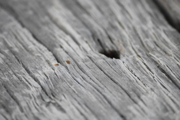 Макроснимок Текстур Узоров Деревянной Поверхности — стоковое фото