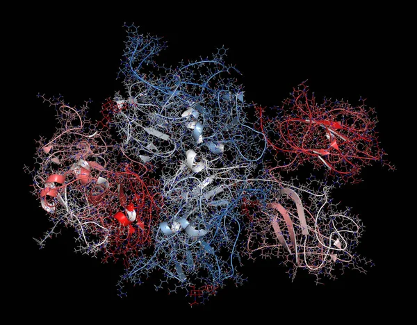 Koagulationsfaktor Viii Fviii Protein Rendering Brist Orsakar Blödarsjuka Tecknad Film — Stockfoto