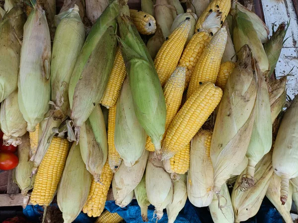 Closeup Sweet Corns Sale Vegetable Market — Stock Photo, Image