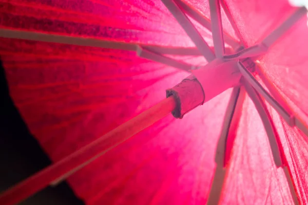 Egy Közelkép Egy Rózsaszín Koktél Esernyőről — Stock Fotó