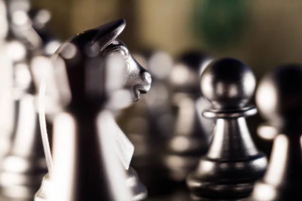 Eine Nahaufnahme Von Silbernen Schachfiguren Auf Dem Schachbrett — Stockfoto