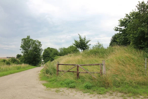 Eine Straße Die Durch Eine Malerische Grüne Landschaft Führt — Stockfoto