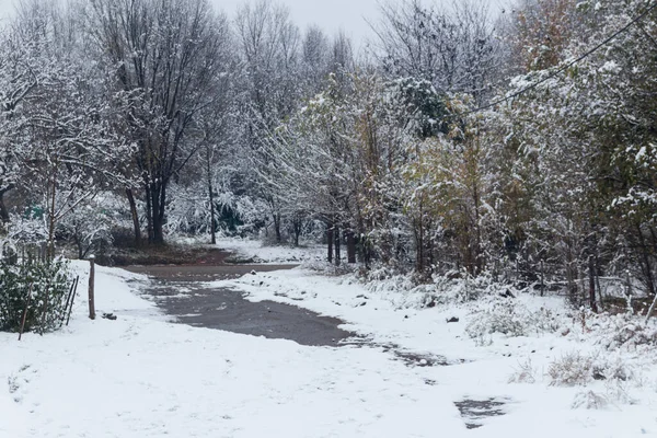 Snöigt Landskap Calamuchita Valley Cordoba Argentina — Stockfoto