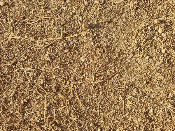 Une Vue Dessus Sable Doré Bord Mer Avec Petites Pierres — Photo