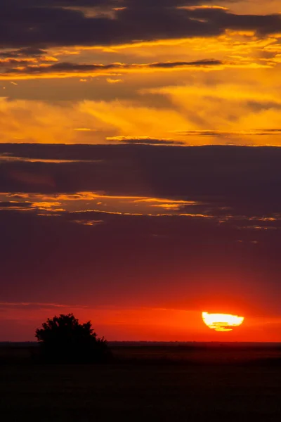 Vertikal Bild Fascinerande Gyllene Solnedgång Över Fältet Perfekt För Tapeter — Stockfoto