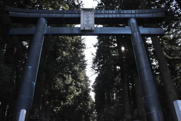 Egy Japán Torii Kapu Alacsony Szöge Egy Japán Erdőben Lévő — Stock Fotó