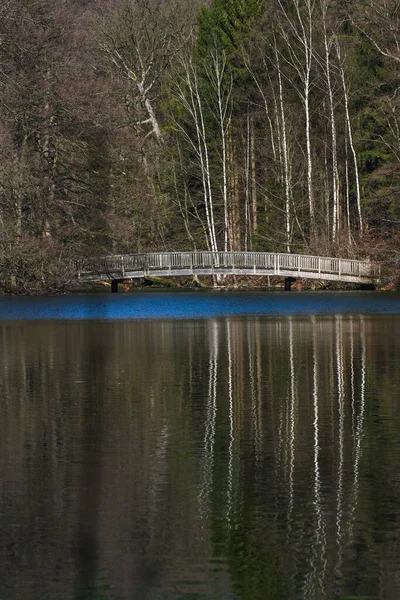 Vertical Shot Small Bridge Lake Surrounded Trees Forests — Stock Photo, Image