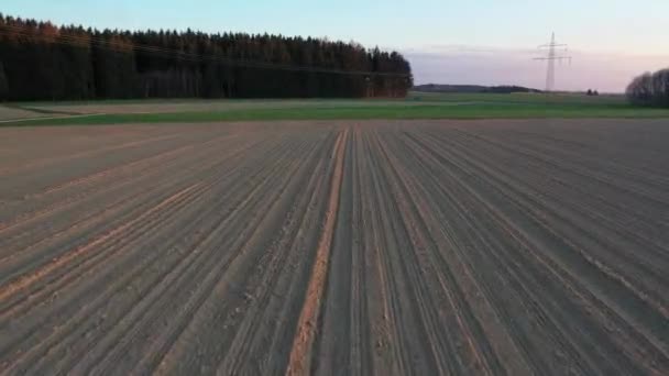 Vacker Utsikt Över Fältet Floden Morgonen — Stockvideo