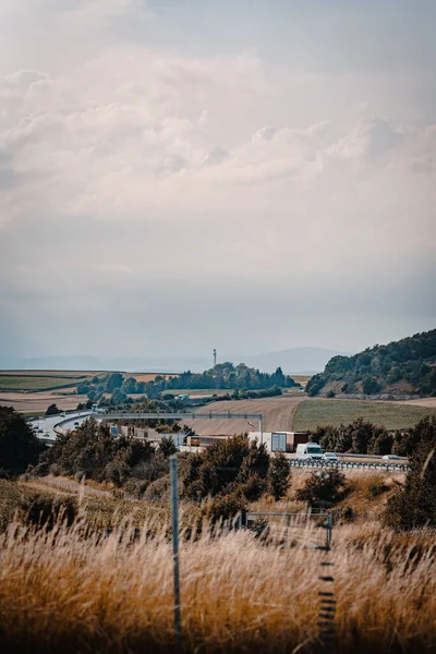 Vertical Shot Road Surrounded Trees Rural Area Cloudy Day — Stock Photo, Image