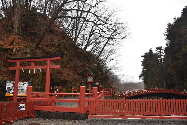 Une Vue Panoramique Sanctuaire Japonais Tosho Nikko Japon — Photo