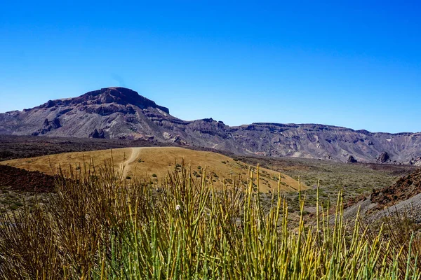 Eine Malerische Landschaft Der Wiese Einer Bergigen Gegend Einem Sonnigen — Stockfoto