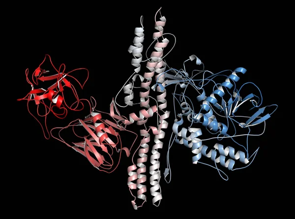 ボツリヌス毒素神経毒性タンパク質3Dレンダリング クロストリジウム ボトリウム製 しわを治療するために化粧品 — ストック写真