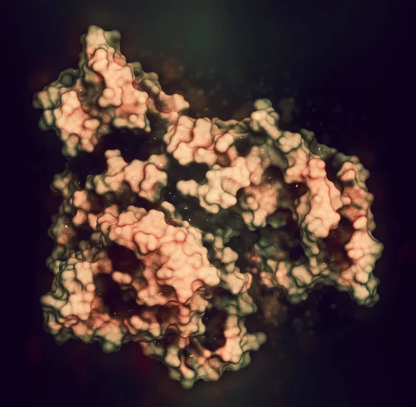Proteine Albumina Sierica Umana Rendering Rappresentazione Dei Cartoni Animati Combinata — Foto Stock