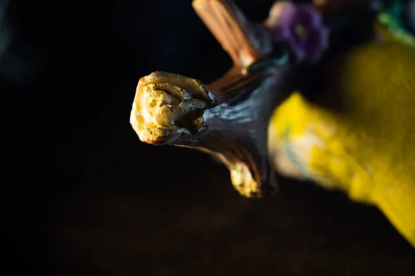 Gros Plan Une Branche Peinte Sur Une Figurine Oiseau — Photo