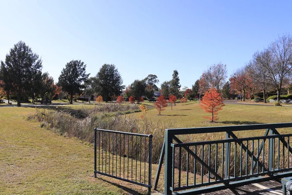 Blå Himmel Över Parken Med Träd Hösten — Stockfoto