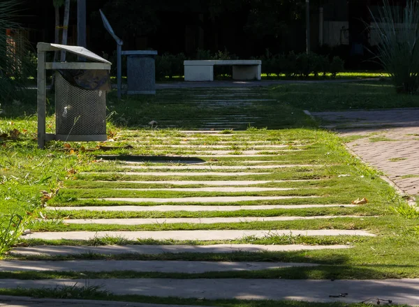 Ένα Καταπράσινο Μονοπάτι Ένα Πάρκο Στο Μπουένος Άιρες — Φωτογραφία Αρχείου