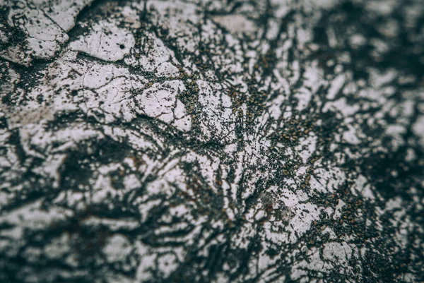 Неглибокий Фокус Білої Поверхні Каменю Старіння — стокове фото