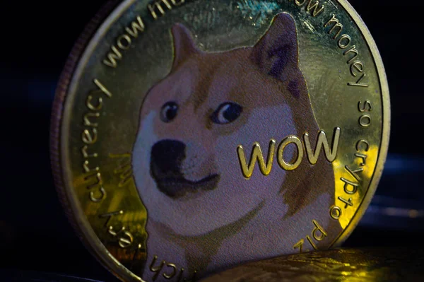 Een Close Shot Van Een Gouden Dogecoin — Stockfoto