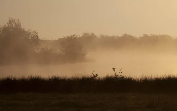 Ein Schöner Blick Auf Eine Neblige Landschaft Umgeben Von Grün — Stockfoto