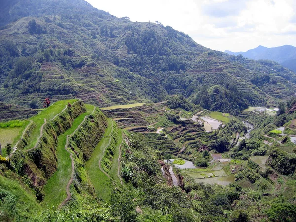 Bel Colpo Colline Verdi — Foto Stock