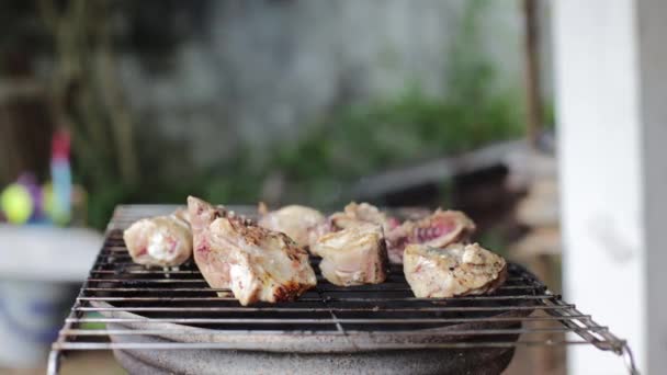 Grilled Meat Grill — Stock Video