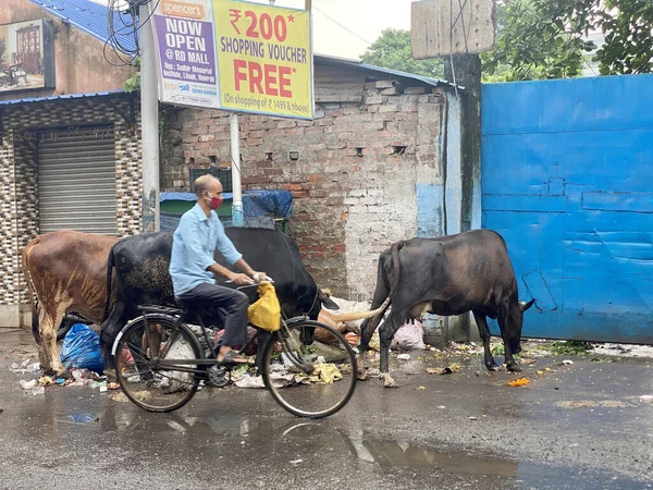 Kolkata India Temmuz 2021 Kırsalda Bisiklet Süren Aktif Kıdemli Adam — Stok fotoğraf