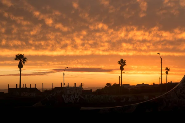 Bel Tramonto Luminoso Una Spiaggia Con Palme — Foto Stock