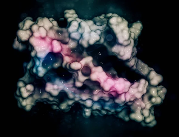 白樺花粉アレルゲンタンパク質ベットV1 3Dレンダリング 半透明な表面を組み合わせた漫画表現 — ストック写真