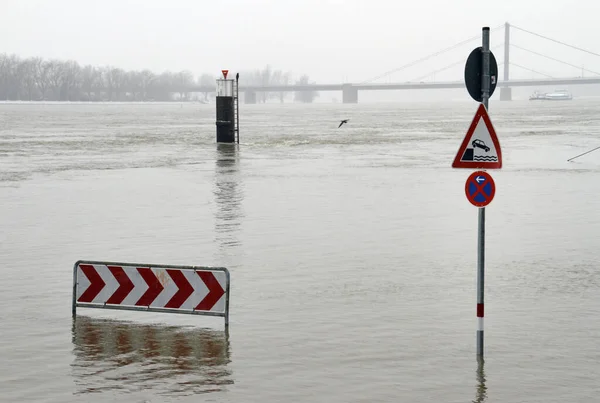 Uma Barreira Aviso Durante Inundação Colônia Alemanha — Fotografia de Stock