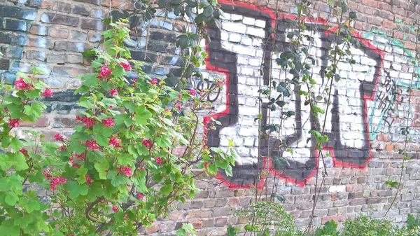 Una Foto Una Pared Ladrillo Con Letras Graffiti Arbusto Rosas —  Fotos de Stock