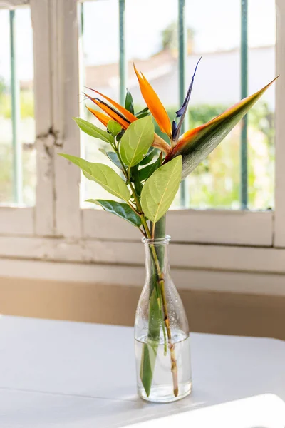 Bird Paradise Färgglada Blomma Liten Glasvas Med Gammal Trä Fönster — Stockfoto