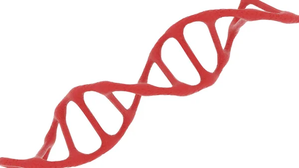 Rendering Una Molecola Dna Sfondo Bianco — Foto Stock