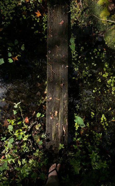 Nad Hlavou Záběr Starého Úzkého Dřevěného Mostu Přes Bažinu Lese — Stock fotografie