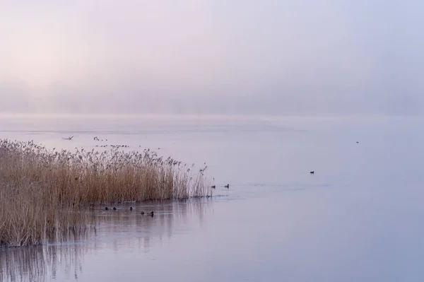 Прекрасный Снимок Озера Туманный День — стоковое фото