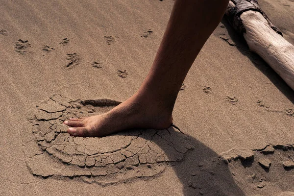 Noha Hrající Pískem Stopami Tlapách — Stock fotografie