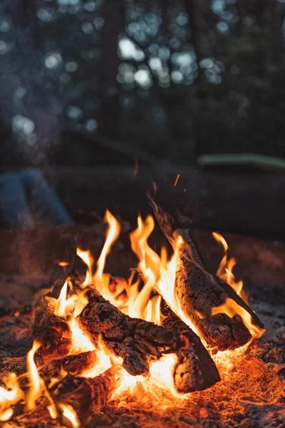 Ein Vertikaler Schuss Eines Lagerfeuers Der Natur — Stockfoto