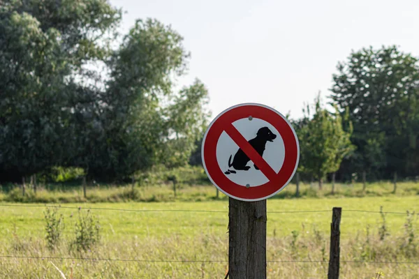 Крупним Планом Знімок Знака Забороняє Їзд Собак — стокове фото