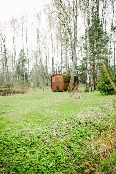 森の中の小さな木造田園地帯の垂直ショット — ストック写真
