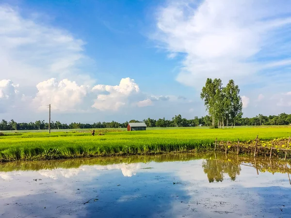 Piękny Widok Refleksyjnego Jeziora Zielonym Polem Pod Zachmurzonym Niebem — Zdjęcie stockowe