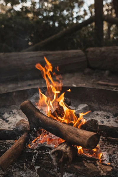 Plan Vertical Feu Joie Dans Nature — Photo