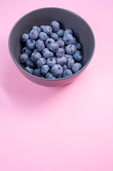 Bowl Fresh Blueberries Isolated Pink Background Free Space Text — Stock Photo, Image